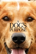 A Dog's Purpose