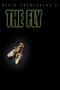 The Fly