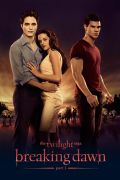 Twilight 4 The Twilight Saga: Breaking Dawn - Part 1
