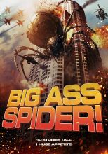 Big Ass Spider!