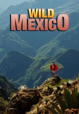 Wild Mexico