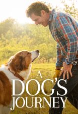 A Dog's Journey