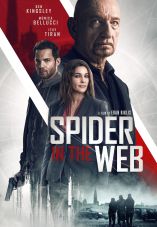 Spider in the Web