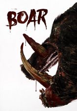 Boar