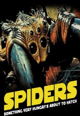 Spiders