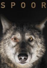 Spoor