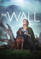 The Wall