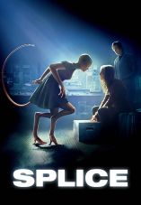 Splice
