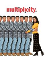 Multiplicity