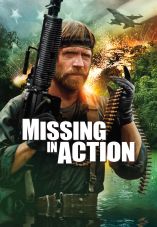 Missing in Action