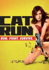 Cat Run