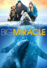 Big Miracle