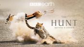 The Hunt BBC Fragman