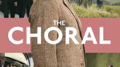 The Choral Fragman