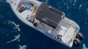 Need A Bigger Boat Fragman
