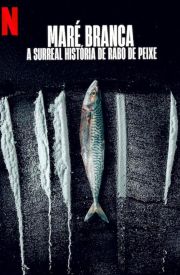 Turn of the Tide: The Surreal Story of Rabo de Peixe
