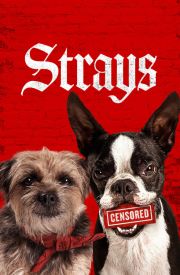 Strays