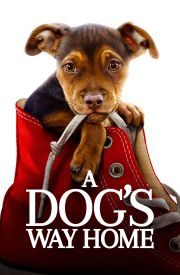 A Dog's Way Home