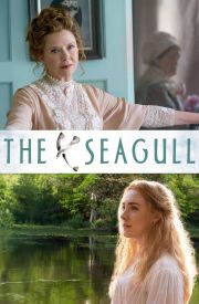 The Seagull