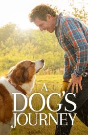 A Dog's Journey