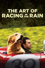 The Art of Racing in the Rain