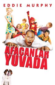 Daddy Day Camp