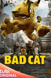 Bad Cat