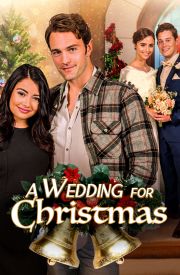A Wedding for Christmas