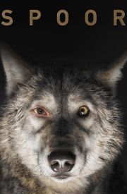 Spoor