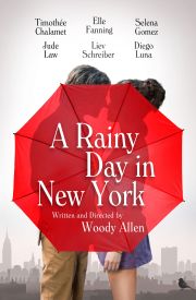 A Rainy Day in New York