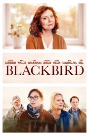 Blackbird