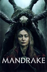 Mandrake