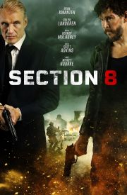Section 8