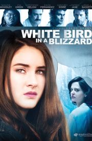 White Bird in a Blizzard