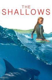 The Shallows