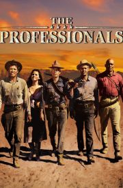 The Professionals