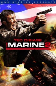The Marine 2