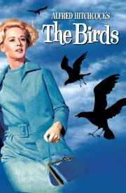 The Birds