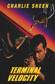 Terminal Velocity