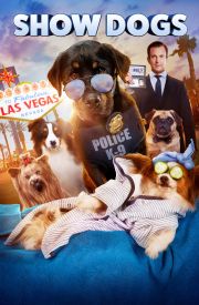 Show Dogs