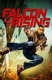 Falcon Rising
