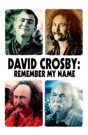 David Crosby: Remember My Name