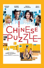 Chinese Puzzle