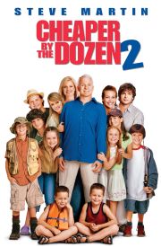 Cheaper by the Dozen 2