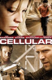 Cellular