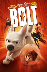 Bolt