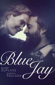 Blue Jay