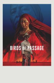 Birds of Passage