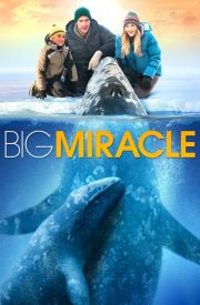 Big Miracle