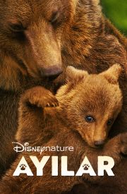 Bears